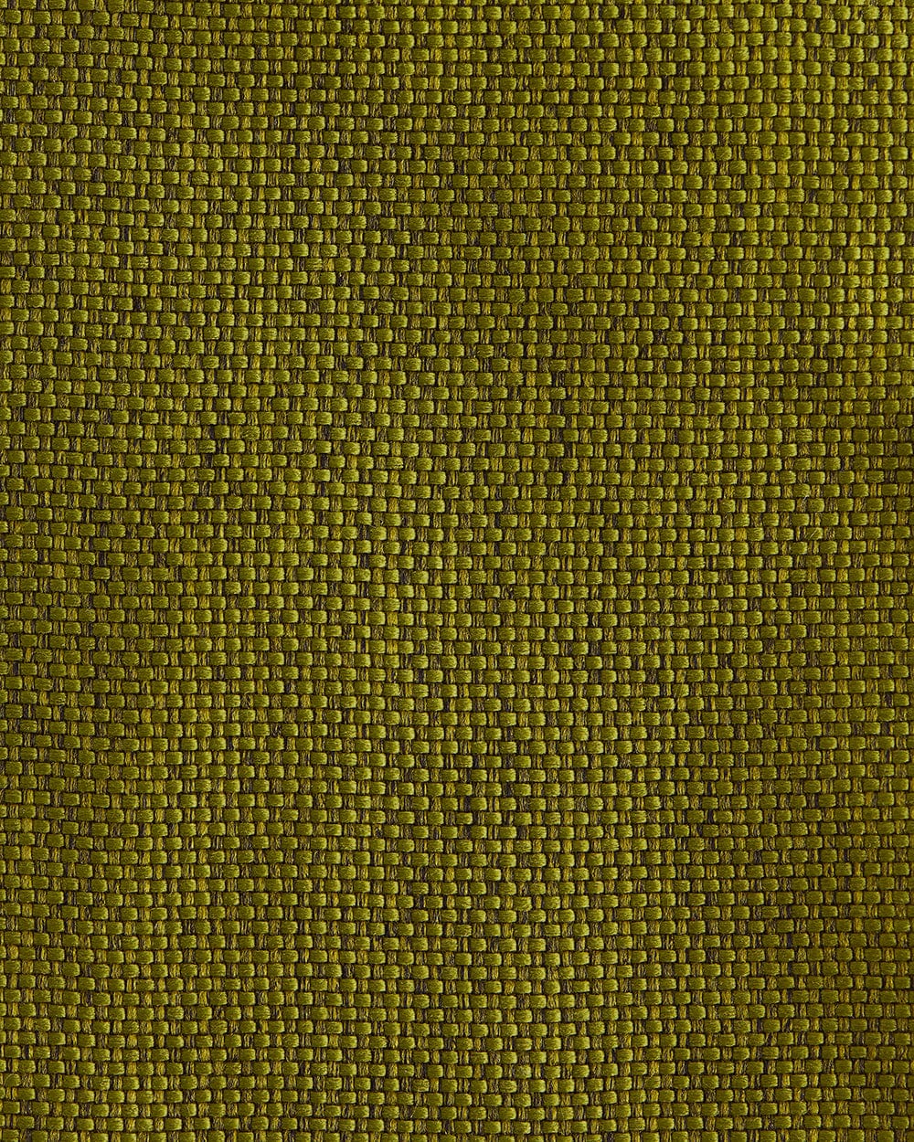 Begum Wing Chair -Savanna Green - Image 5