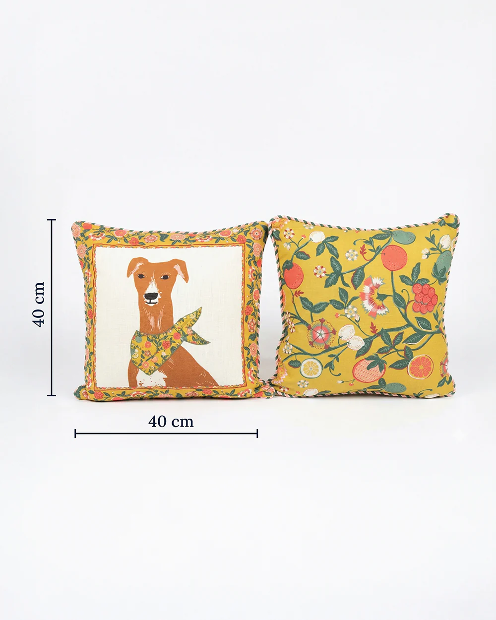 Limonata Hound Cushion, Set of 2 | Citrus Zest - Image 4