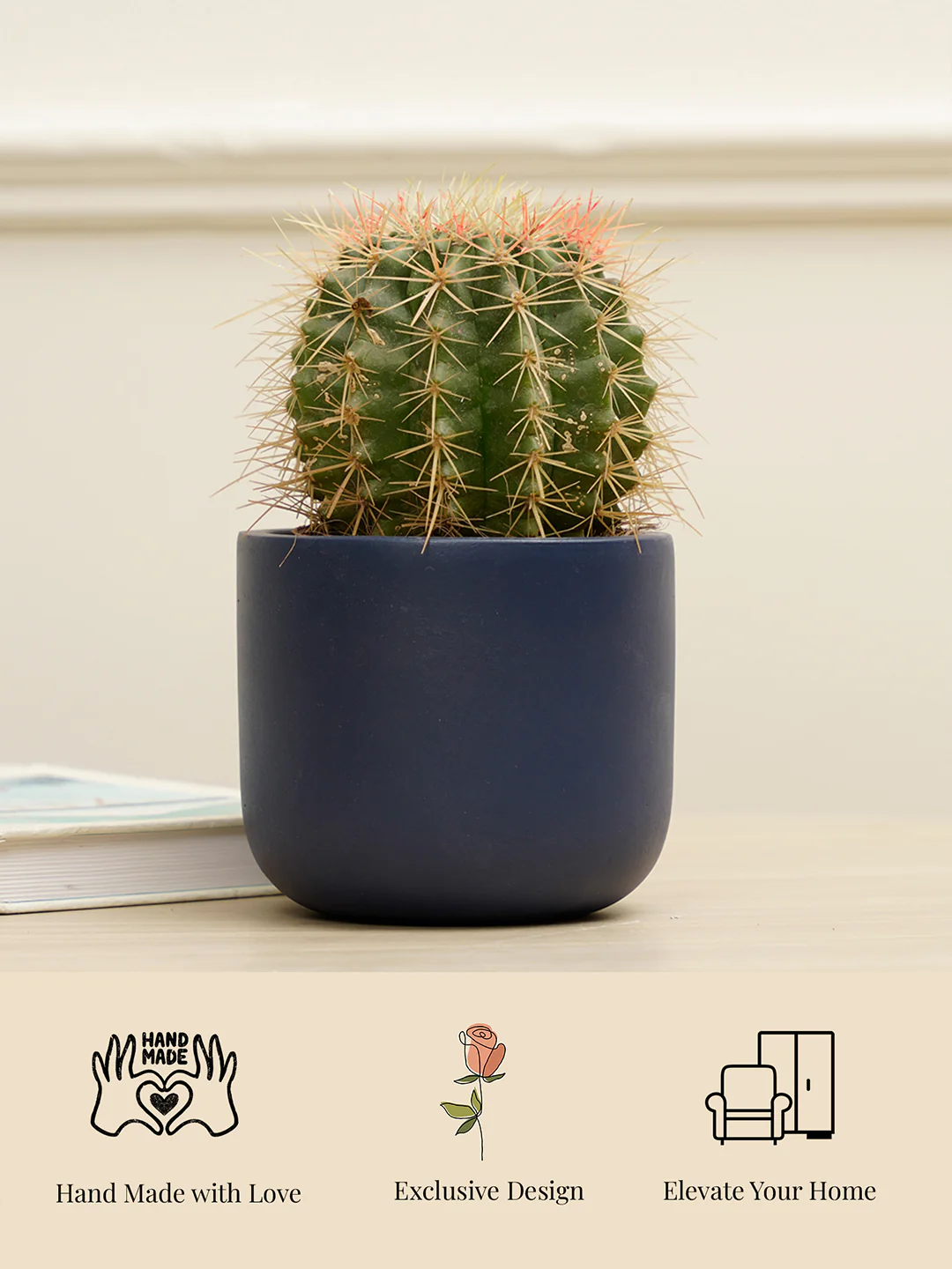 Midnight Planter - Image 5