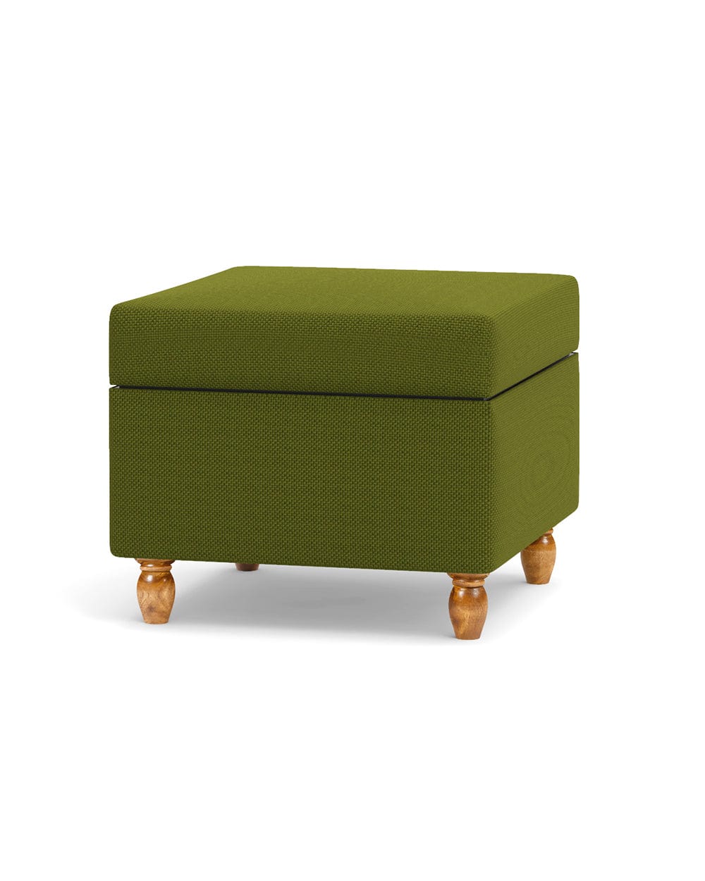 Modern Trunk Storage Ottoman - Savanna Green - Image 3