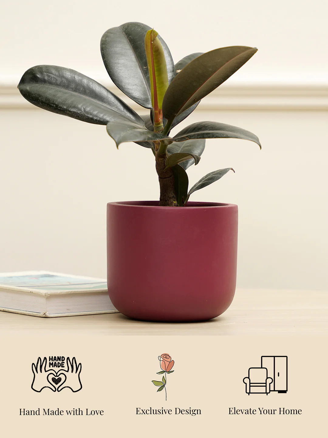 Plum Planter - Image 6