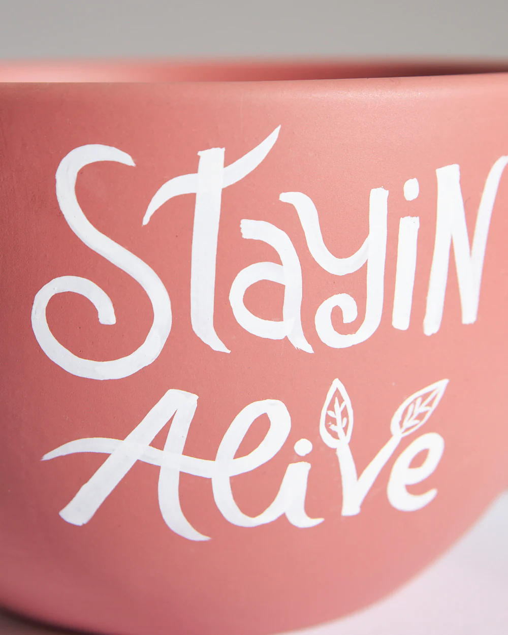 Stayin Alive  Planter - Coral - Image 7